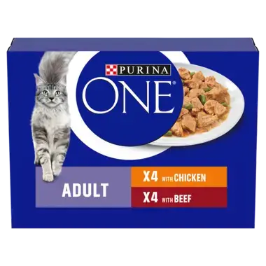 Purina one canned cat food best sale